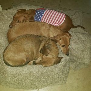 Meet your Posher, Leslie